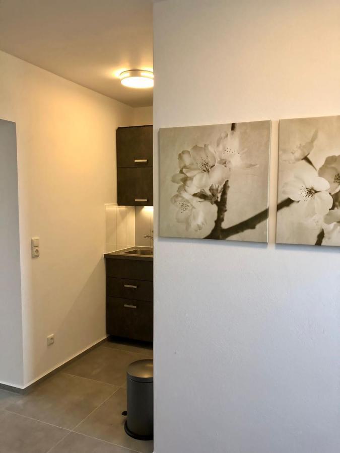 Erdgeschoss-appartement Mit Seeterasse *